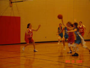 basketball025.jpg